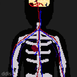 The Human icon