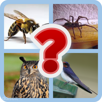 Animal game quiz screenshot 1