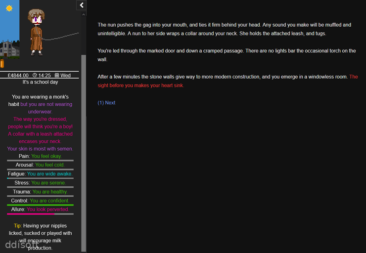 Degees of Lewdity screenshot 2