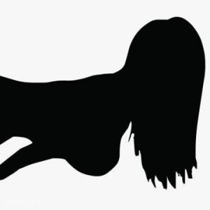 H-Tame icon